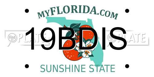 19BDIS Florida License Plate