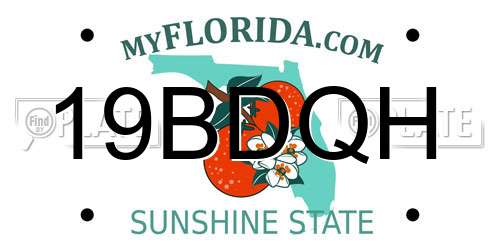 19BDQH Florida License Plate