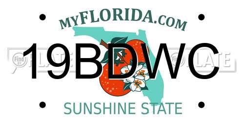 19BDWC Florida License Plate