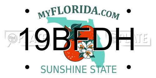 19BFDH Florida License Plate