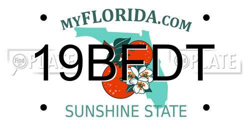 19BFDT Florida License Plate