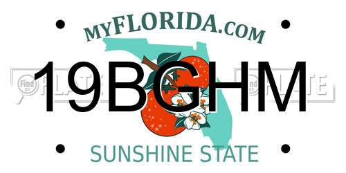 19BGHM Florida License Plate
