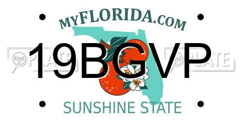 19BGVP Florida License Plate