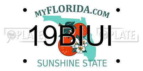 19BIUI Florida License Plate