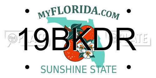 19BKDR Florida License Plate