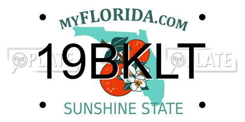 19BKLT Florida License Plate