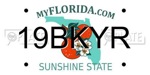 19BKYR Florida License Plate