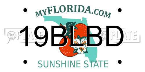 19BLBD Florida License Plate