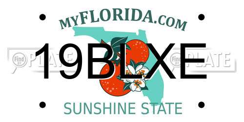 19BLXE Florida License Plate