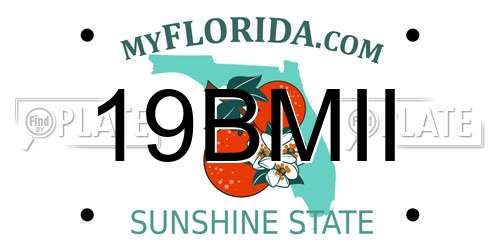 19BMII Florida License Plate