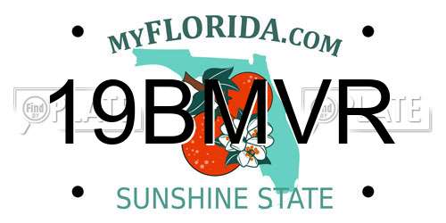 19BMVR Florida License Plate