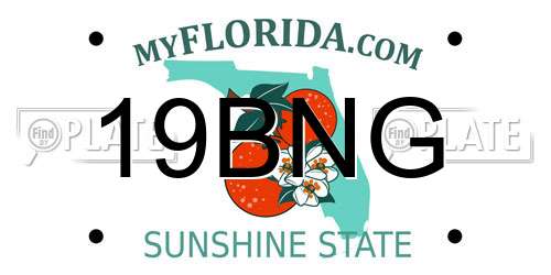 19BNG Florida License Plate