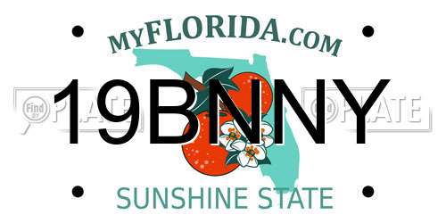 19BNNY Florida License Plate