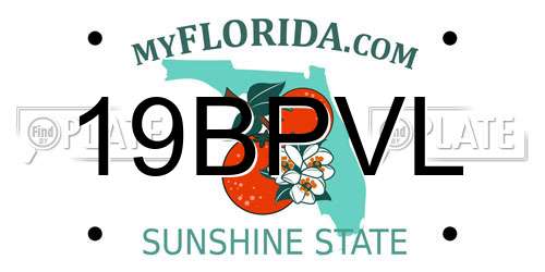 19BPVL Florida License Plate