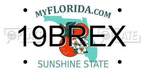 19BREX Florida License Plate