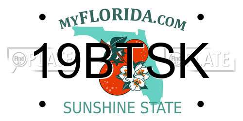 19BTSK Florida License Plate