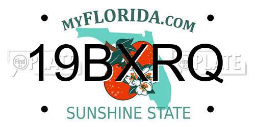 19BXRQ Florida License Plate