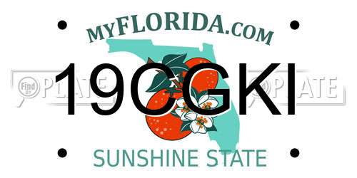 19CGKI Florida License Plate