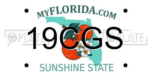 19CGS Florida License Plate