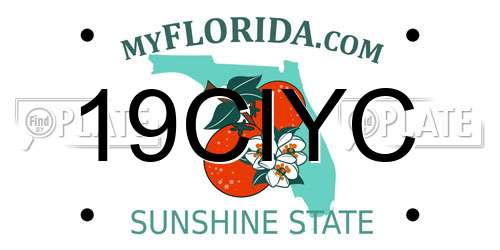 19CIYC Florida License Plate