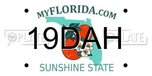 19DAH Florida License Plate