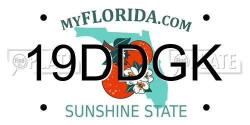 19DDGK Florida License Plate