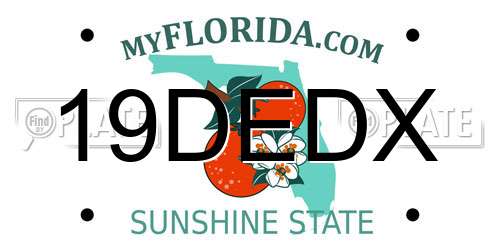 19DEDX Florida License Plate