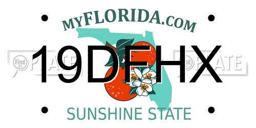 19DFHX Florida License Plate