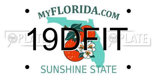 19DFIT Florida License Plate