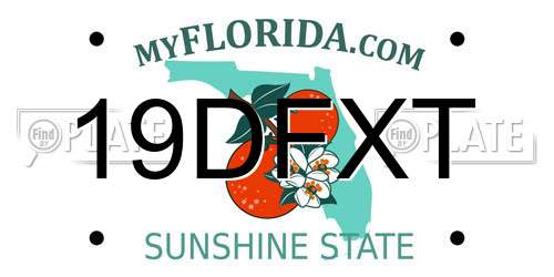 19DFXT Florida License Plate
