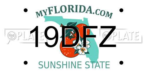 19DFZ Florida License Plate