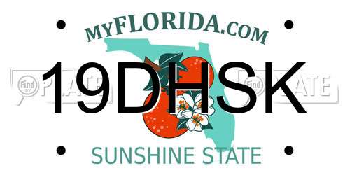 19DHSK Florida License Plate
