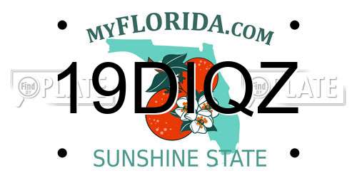 19DIQZ Florida License Plate