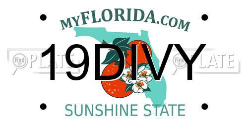19DIVY Florida License Plate