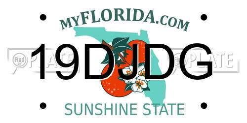19DJDG Florida License Plate