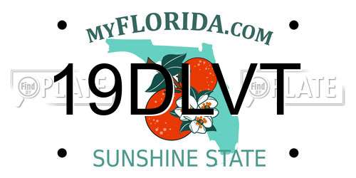 19DLVT Florida License Plate