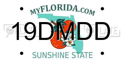 19DMDD Florida License Plate