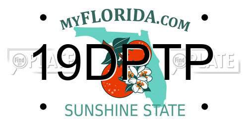 19DPTP Florida License Plate