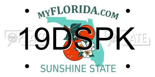 19DSPK Florida License Plate