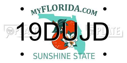 19DUJD Florida License Plate