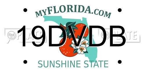 19DVDB Florida License Plate