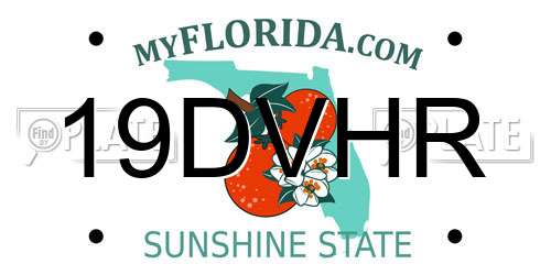 19DVHR Florida License Plate