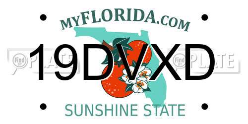 19DVXD Florida License Plate