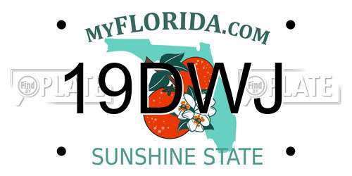 19DWJ Florida License Plate