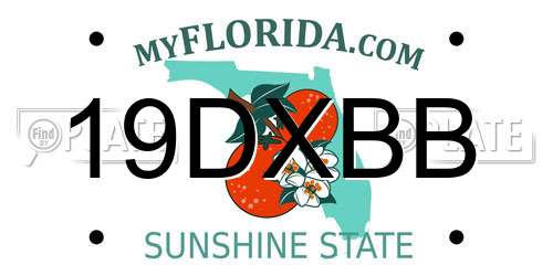 19DXBB Florida License Plate