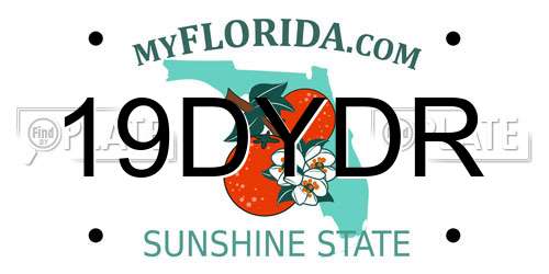 19DYDR Florida License Plate