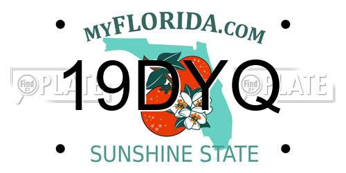 19DYQ Florida License Plate