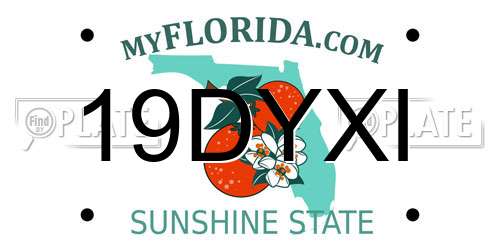 19DYXI Florida License Plate