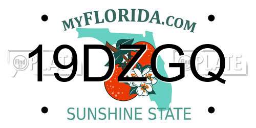 19DZGQ Florida License Plate