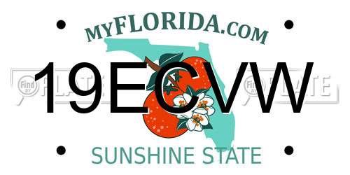 19ECVW Florida License Plate